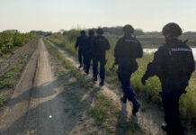 Jedna osoba poginula, a tri osobe su ranjene u novom obračunu migranata u Srbiji, policija pokrenula veliku akciju jedna-osoba-poginula,-a-tri-osobe-su-ranjene-u-novom-obracunu-migranata-u-srbiji,-policija-pokrenula-veliku-akciju