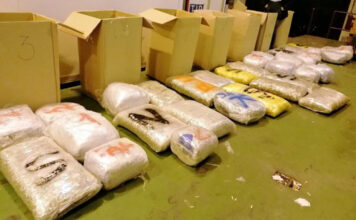 U Beogradu uhapšeno 10 osoba,zaplenjeno oko 170 kilograma droge amfetamin u-beogradu-uhapseno-10-osoba,zaplenjeno-oko-170-kilograma-droge-amfetamin