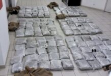 Solun: Albanac uhapšen zbog krijumčarenja više od 580 kilograma kokaina solun:-albanac-uhapsen-zbog-krijumcarenja-vise-od-580-kilograma-kokaina