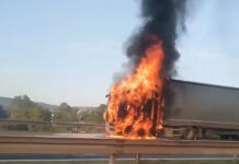 Gori kamion na auto-putu Beograd-Niš, obustavljen saobraćaj u oba smera gori-kamion-na-auto-putu-beograd-nis,-obustavljen-saobracaj-u-oba-smera