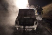 Plamen progutao ceo jedan automobil: Drama na autoputu “Miloš Veliki”, sprečena veća tragedija i ljudski životi su spašeni plamen-progutao-ceo-jedan-automobil:-drama-na-autoputu-“milos-veliki”,-sprecena-veca-tragedija-i-ljudski-zivoti-su-spaseni