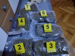 uhapsena-zbog-neovlascene-proizvodnje-i-stavljanja-u-promet-opojnih-droga