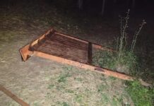 Nastavlja se uništavanje Sportskog centra Borići! UZSNP: Bez konkretne reakcije policije nastavlja-se-unistavanje-sportskog-centra-borici!-uzsnp:-bez-konkretne-reakcije-policije