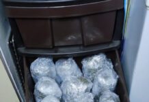 Zaplenjeno 34 kilograma marihuane, uhapšene dve osobe zaplenjeno-34-kilograma-marihuane,-uhapsene-dve-osobe