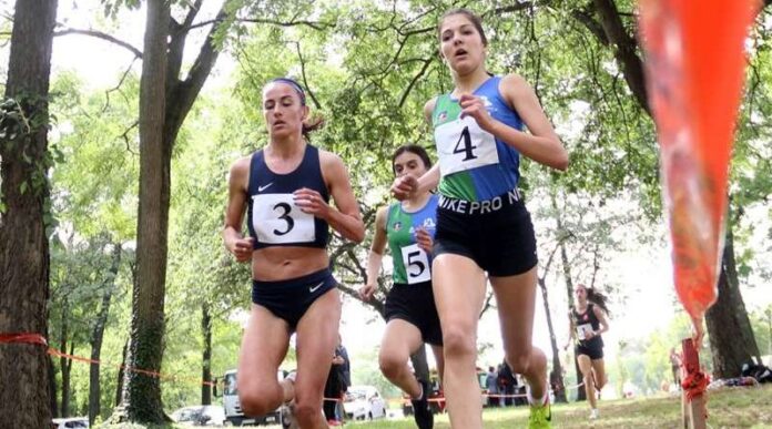 aldin-catovic-i-mejra-mehmedovic-najbrzi-u-beogradu aldin-catovic-i-mejra-mehmedovic-najbrzi-u-beogradu