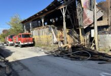 Tragedija u selu Trnava kod Novog Pazara: Požar uništio fabriku peleta i nameštaja tragedija-u-selu-trnava-kod-novog-pazara:-pozar-unistio-fabriku-peleta-i-namestaja