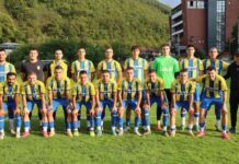 Sretenović: Liga je teška, žalimo za nekim bodovima sretenovic:-liga-je-teska,-zalimo-za-nekim-bodovima