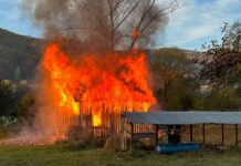 Požar u Novom Pazaru: Nema povređenih, vatrogasci sprečili širenje vatre pozar-u-novom-pazaru:-nema-povredjenih,-vatrogasci-sprecili-sirenje-vatre