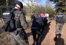 Otkriveno 870 migranata na području Subotice, Pirota, Kikinde i Sombora. otkriveno-870-migranata-na-podrucju-subotice,-pirota,-kikinde-i-sombora.