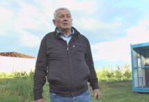 Velimira Ilića ujela zmija dok je orezivao voće velimira-ilica-ujela-zmija-dok-je-orezivao-voce