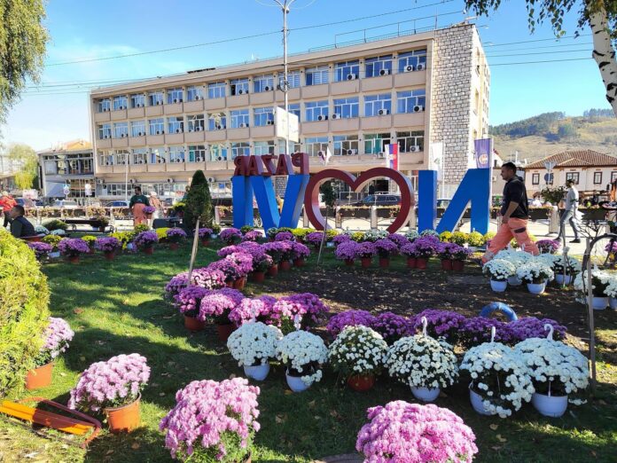 novi-pazar-u-jesenjem-ruhu:-300-hrizantema-krasi-grad novi-pazar-u-jesenjem-ruhu:-300-hrizantema-krasi-grad