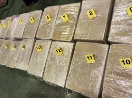 pazarac-uhapsen-sa-165,5-kilograma-marihuane