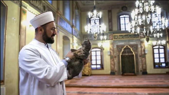 istanbulski-imam-uhapsen-u-meki-jer-je-ucio-dovu-za-gazu