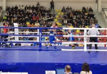 Bokseri Novog Pazara ubedljivi protiv Naisusa bokseri-novog-pazara-ubedljivi-protiv-naisusa