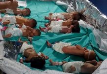 Ministarstvo zdravstva Gaze: 31 prerano rođena beba evakuirana iz bolnice Al-Shifa ministarstvo-zdravstva-gaze:-31-prerano-rodjena-beba-evakuirana-iz-bolnice-al-shifa