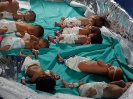 ministarstvo-zdravstva-gaze:-31-prerano-rodjena-beba-evakuirana-iz-bolnice-al-shifa