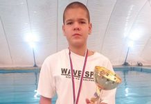 Dominacija Lazara Filipovića dominacija-lazara-filipovica