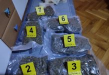 Pirot: Uhapšen turski državljanin sa 135 kg marihuane pirot:-uhapsen-turski-drzavljanin-sa-135-kg-marihuane