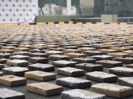 kolumbija:-policija-pronasla-2,6-tona-kokaina-namenjenog-evropskom-trzistu