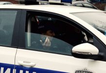 Incident u Novom Pazaru: Vozač udario saobraćajnog policajca i pobegao incident-u-novom-pazaru:-vozac-udario-saobracajnog-policajca-i-pobegao