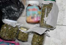 PU Subotica: Muškarac uhapšen zbog trgovine marihuanom pu-subotica:-muskarac-uhapsen-zbog-trgovine-marihuanom