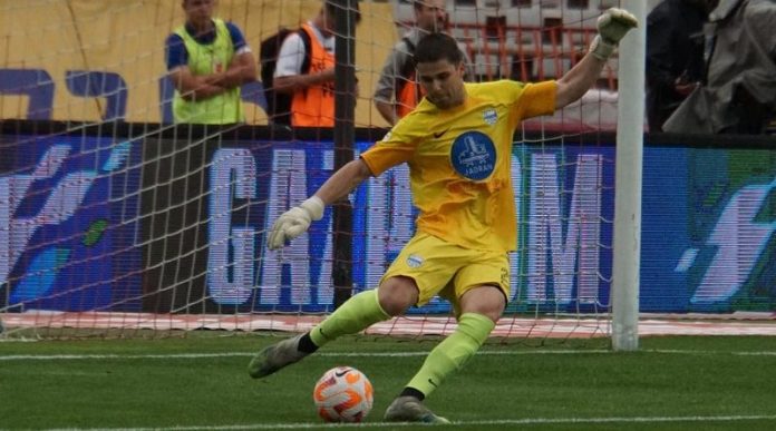 slavkovic-sest-meseci-u-dobanovcima