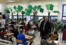 Šah u škole sah-u-skole