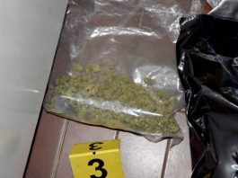 policija-zaplenila-marihuanu,-uhapsen-novosadjanin-zbog-trgovine-narkoticima
