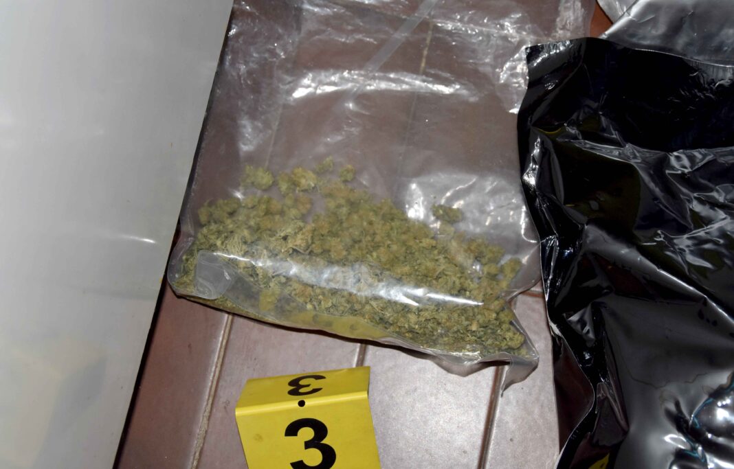 policija-zaplenila-marihuanu,-uhapsen-novosadjanin-zbog-trgovine-narkoticima