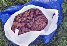 Čačak: Kod devetnaestogodišnjaka pronađena 2,3 kilograma marihuane cacak:-kod-devetnaestogodisnjaka-pronadjena-2,3-kilograma-marihuane