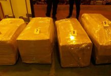 Pala narko grupa za šverc 70 kg kokaina: Drogu kupovali u Španiji, Belgiji i Holandiji pala-narko-grupa-za-sverc-70-kg-kokaina:-drogu-kupovali-u-spaniji,-belgiji-i-holandiji