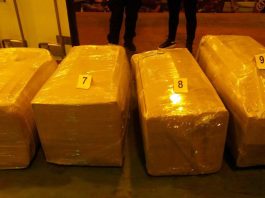 pala-narko-grupa-za-sverc-70-kg-kokaina:-drogu-kupovali-u-spaniji,-belgiji-i-holandiji