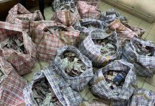 Sprečen pokušaj krijumčarenja kozmetike vredne 11.000 evra sprecen-pokusaj-krijumcarenja-kozmetike-vredne-11.000-evra