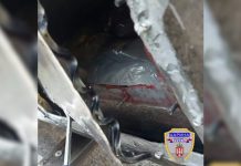 Preko 42 kg droge u pregrađenom rezervoaru kamiona (VIDEO) preko-42-kg-droge-u-pregradjenom-rezervoaru-kamiona-(video)