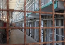 Određen pritvor osumnjičenom za svirepo ubistvo supruge u Novom Sadu odredjen-pritvor-osumnjicenom-za-svirepo-ubistvo-supruge-u-novom-sadu