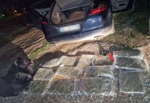 Hapšenje i zaplena 52 kg marihuane hapsenje-i-zaplena-52-kg-marihuane