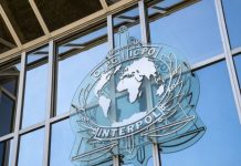 Interpol raspisao žutu poternicu zbog nestanka Danke Ilić interpol-raspisao-zutu-poternicu-zbog-nestanka-danke-ilic