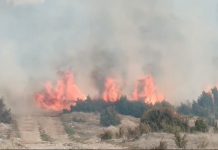 Gori nisko rastinje u Babinama kod Prijepolja, požar se širi ka kućama gori-nisko-rastinje-u-babinama-kod-prijepolja,-pozar-se-siri-ka-kucama