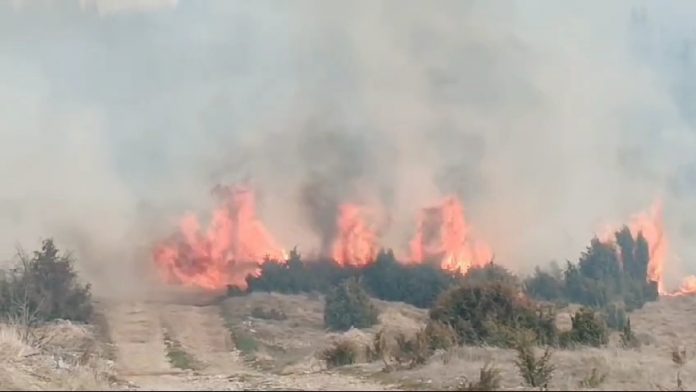 gori-nisko-rastinje-u-babinama-kod-prijepolja,-pozar-se-siri-ka-kucama