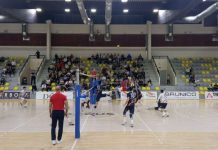 Ništa od Superlige za Pazarce: Niš ostao u eliti nista-od-superlige-za-pazarce:-nis-ostao-u-eliti