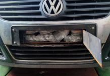 Uhapšen na Gradini sa 27,5 kilograma marihuane uhapsen-na-gradini-sa-27,5-kilograma-marihuane