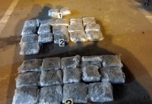 Bugarska: Zaplenjeno više od 400 kilograma heroina skrivenog u kamionu bugarska:-zaplenjeno-vise-od-400-kilograma-heroina-skrivenog-u-kamionu