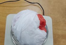 Droga u plišanom medi droga-u-plisanom-medi