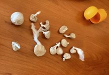 Kragujevac:Uhapšen osumnjičeni za neovlašćeno držanje droge,nađeno 25 grama heroina kragujevac:uhapsen-osumnjiceni-za-neovlasceno-drzanje-droge,nadjeno-25-grama-heroina