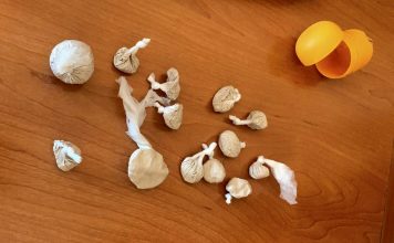 Kragujevac:Uhapšen osumnjičeni za neovlašćeno držanje droge,nađeno 25 grama heroina kragujevac:uhapsen-osumnjiceni-za-neovlasceno-drzanje-droge,nadjeno-25-grama-heroina