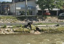 Komunalna milicija otkrila izlivanje krvi u reku Rašku, uzorci poslati na analizu komunalna-milicija-otkrila-izlivanje-krvi-u-reku-rasku,-uzorci-poslati-na-analizu