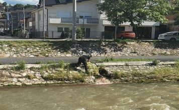 Komunalna milicija otkrila izlivanje krvi u reku Rašku, uzorci poslati na analizu komunalna-milicija-otkrila-izlivanje-krvi-u-reku-rasku,-uzorci-poslati-na-analizu