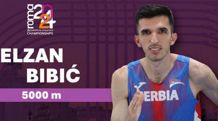 rim-video-sjajnog-bibica