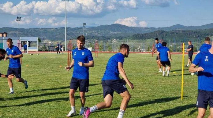 trajkovic-izvrsio-prozivku,-ljajic-trenirao trajkovic-izvrsio-prozivku,-ljajic-trenirao