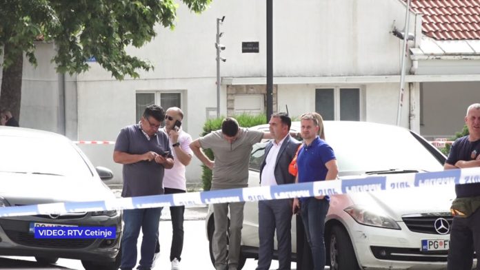 bomba-bila-postavljena-na-drvetu,-aktivirana-daljinskim-upravljacem